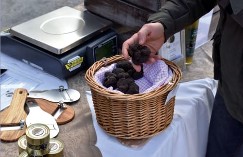 Main tenant une truffe noire au-dessus d'un panier en osier lors d'une dégustation gastronomique au Pavillon M à Grignan