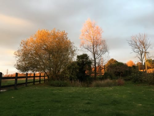 Arbres d'automne et clôture en bois à Sous Les Marronniers, gîte rural français à Petit Palais Cornemps