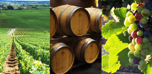 location maison piscine jardin Mas de Regardebon provence gastronomie vignobles luberon ventoux