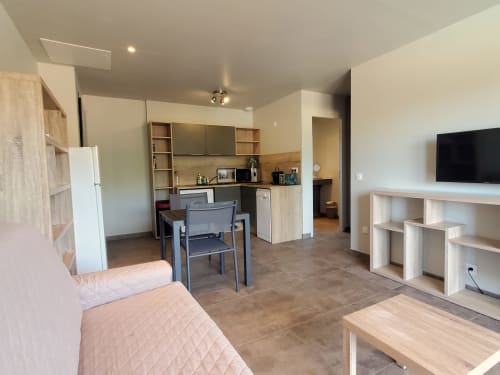 Open-plan apartment at Villas Lantana in Lecci with kitchenette, dining area, flat-screen TV, and modern furnishings