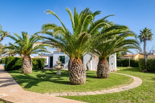 Frondoso jardín de patio con palmeras en Las Golondrinas Apartamentos Turísticos, Cap d'Artrutx