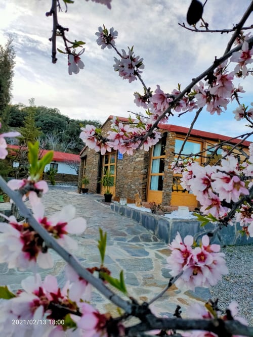 Las flores de almendro rosa enmarcan la entrada del hotel El Paraje del Chef en Laroles, Granada