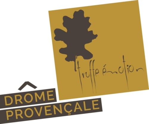 Logo d'émulsion de truffe pour Drôme Provençale, feuille de chêne dorée sur fond or
