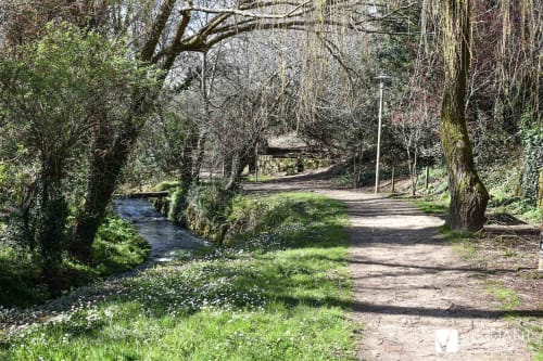 Camino arbolado con arroyo en Cabañas Compostela, Santiago de Compostela