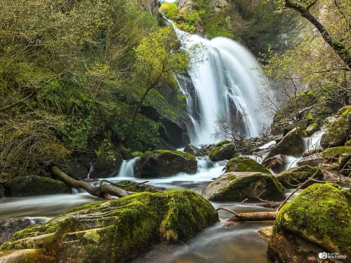 Cascada en bosque exuberante cerca de Cabañas Compostela, Santiago de Compostela