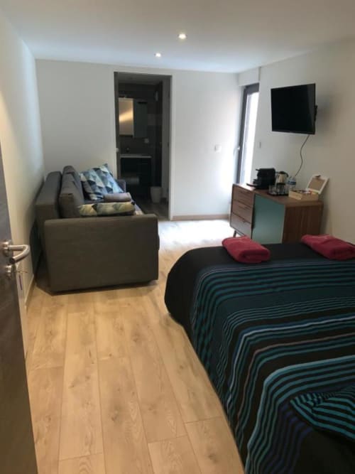 Modern studio bedroom at Les Edelweiss Mont-Blanc in Passy featuring bed, sofa, TV and wooden floors