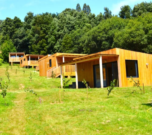 Cabañas de madera en prado verde de Cabañas Compostela, Santiago de Compostela, rodeadas de bosque