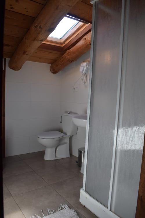 Cuarto de baño moderno con inodoro y ducha en el hostal La Calma De Bellver en Bellver de la Cerdanya, con vigas de madera y