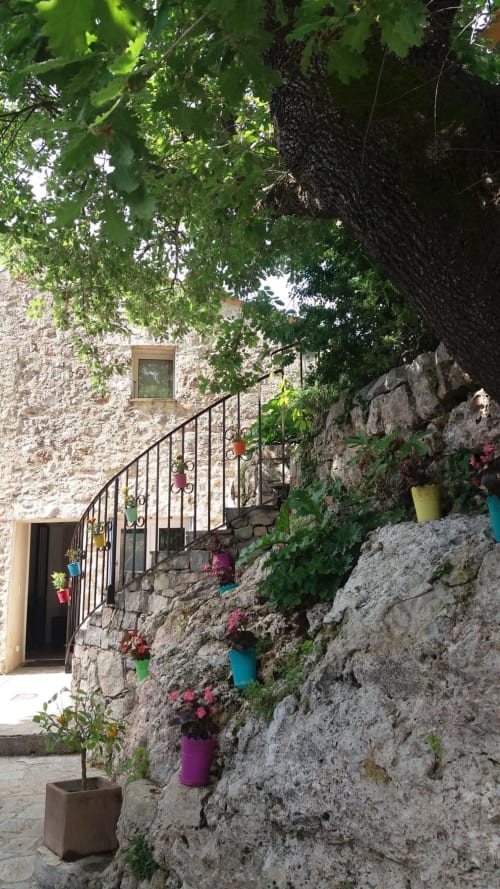 - Charmant gîte dans le Var, France - Les Muriers d'engaspaty