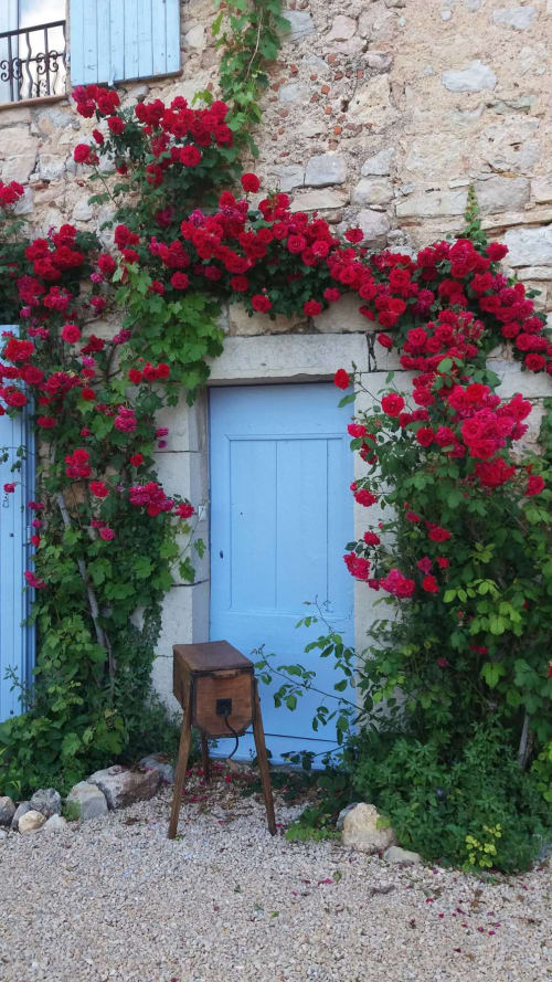 Location de vacances d'été dans le Var - Les Muriers d'engaspaty