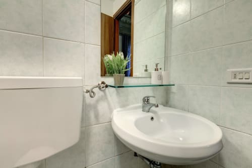 Bagno moderno nell'Appartamento Sleep tight Florence Deluxe con lavabo ovale bianco, mensola in vetro e pianta in vaso a Firenze