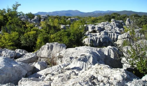 les jardins de Chiron - Sauve - lodges et Tiny house sud de la France - spa et petit dejeuner proche Nimes Montpellier - piscine exterieure - soin chevaux - massages - salle de mariage Sauve 