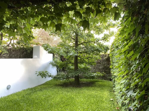 Serene garden courtyard at Casa45 Porto with lush greenery, ivy walls, and stone architecture
