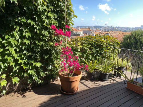 Terrasse sur le toit de Casa45 Porto avec fleurs magenta, murs couverts de lierre et vue sur la skyline