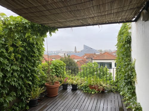Terrasse verdoyante à Casa45 Porto avec murs couverts de lierre, plantes en pot, vues sur l'horizon urbain et coin détente ombragé