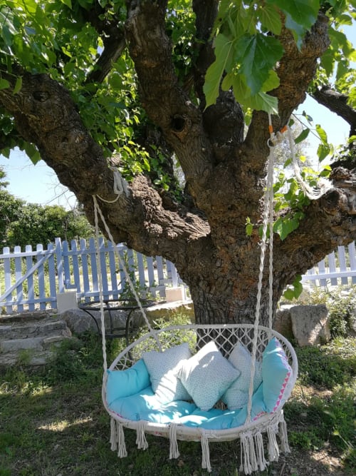 Location de vacances avec jardin Seillans Var - Les Muriers d'engaspaty