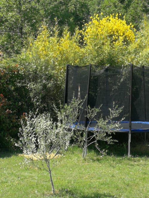 Location avec trampoline Var - Les Muriers d'engaspaty