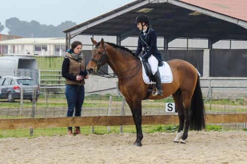 Compétition équitation - Programme couple cavalier/cheval - Domaine des Eglantiers, Cardet, Gard