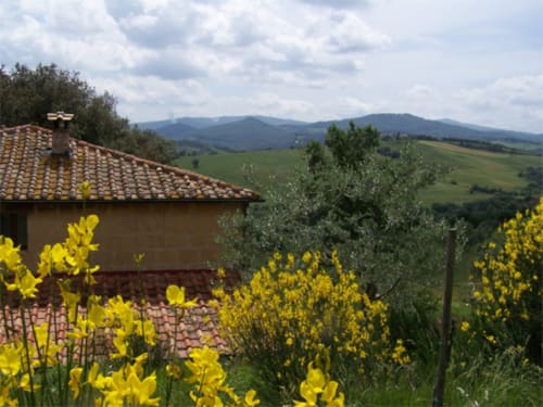 Villa della campagna toscana con fiori selvatici gialli, colline verdi ondulate e montagne presso Agri-Bio Santa Palmira, Pomarance