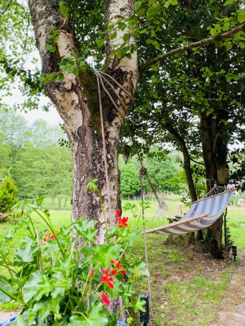 NID DES FEES TERRASSE NATURE HAMAC
