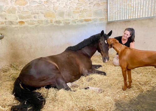 Moment de complicité avec notre cheval Popy - Ecurie de propriétaire Domaine des Églantiers 