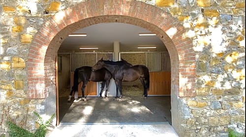 Installations boxes - Pension privée chevaux - Ecurie Domaine des Eglantiers