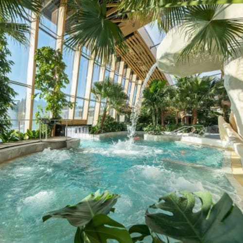 NID DES FEES CENTER PARCS TROIS FORETS AQUAMUNDO