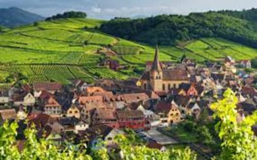 NID DES FEES ALSACE ROUTE VINS