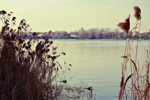 Vista tranquilla del lago da B&B Emozioni Relax a Borgo Virgilio, Mantova, con canneti e profilo della città