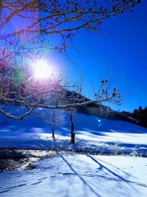 Paysage hivernal enneigé à la Villa Valtin, Le Valtin, avec sapins givrés et soleil éclatant