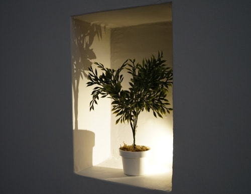 Potted plant with delicate foliage backlit in a niche at Royal Rooms Station Napoli, creating elegant shadow play on the wall