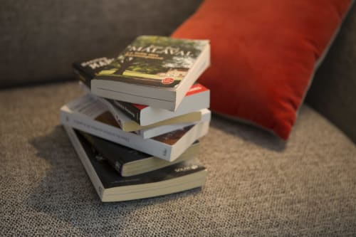 Pile de livres sur un tapis près d'un coussin rouge, chambre La Maison De Siloe à Villefranche de Rouergue