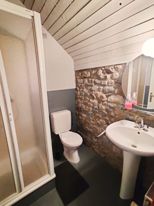 Modern bathroom with white pedestal sink, toilet, shower enclosure, and exposed brick accent wall at La Ferme De Werpin