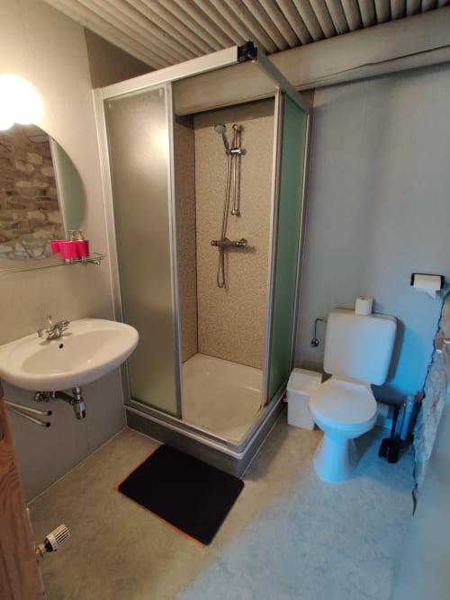 Salle de bain avec douche, lavabo et toilettes dans l'appartement Mountain view de La Ferme De Werpin, Hotton