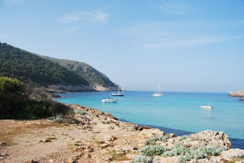 playa de mallorca