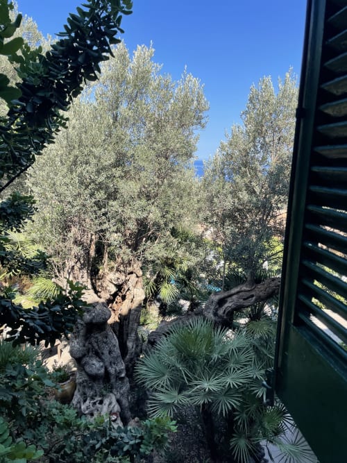 Garden view from Petit Hotel Sa Plana's Ponent room in Estellencs, featuring olive trees and Mediterranean flora
