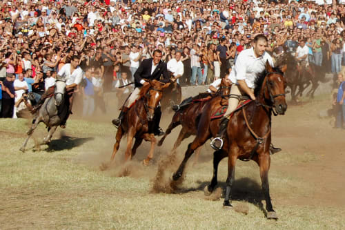 Carrera de caballos tradicional en Torre Grande Oristano con jinetes y gran multitud, Italia