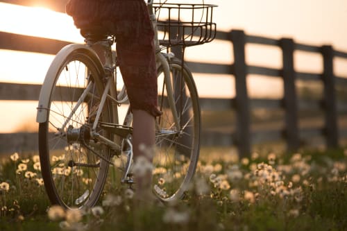 Faire du vélo dans le Var - Les Muriers d'engaspaty
