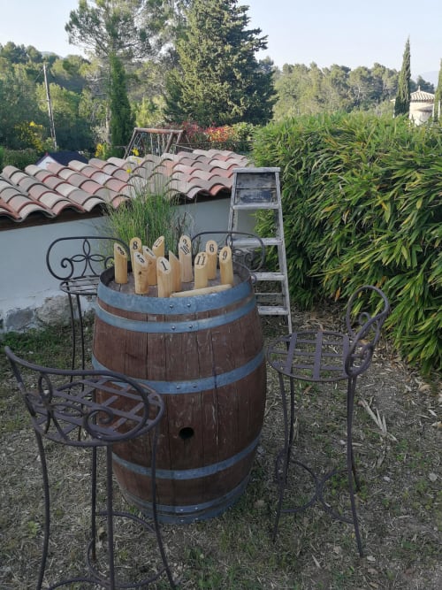 Location avec jardin molki Seillans - Les Muriers d'engaspaty