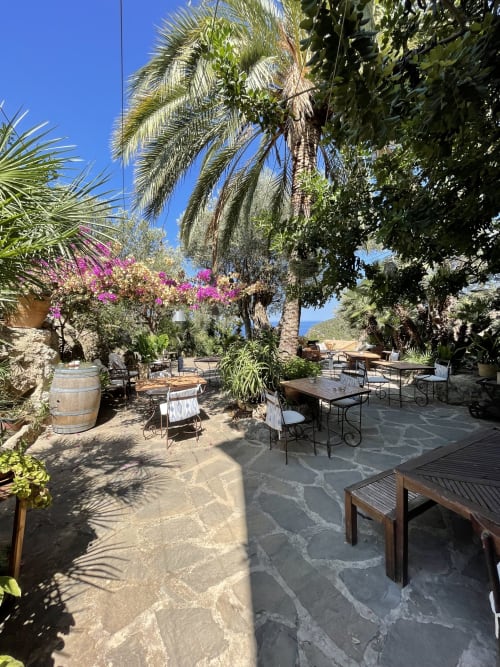 Terraza del Petit Hotel Sa Plana en Estellencs con palmeras, buganvillas y zona de estar en patio de piedra