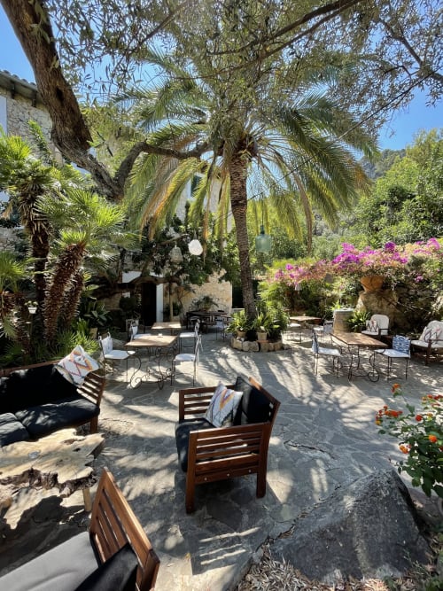 Soleado patio del Petit Hotel Sa Plana en Estellencs con sillas de madera, palmeras y buganvillas en flor