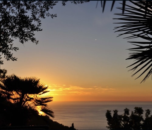 Vista del atardecer desde el Petit Hotel Sa Plana en Estellencs con palmeras enmarcando el cielo dorado sobre el Mar Mediterráneo