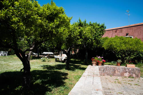 Lussureggiante giardino del B&B Valle Allegra a Gravina di Catania con ulivi, piante fiorite e sentiero in pietra sotto cielo azzurro