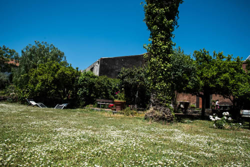 Lussureggiante giardino con fiori bianchi, lettini e muri ricoperti di edera presso B&B Valle Allegra a Gravina di Catania, Sicilia