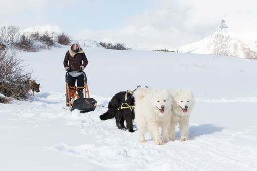 Oreeduloup, location la Joue du loup, Studio Ptilou B36 2/4 personnes, vue montagne, ski, mélèzes des chaumates, chalet Grand'loup, chalet jappeloup , hameau des cimes, Eden des cimes
