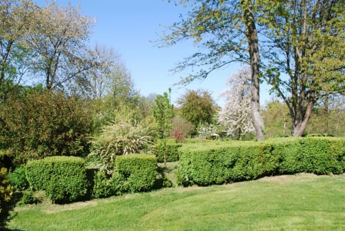 Jardins luxuriants aux haies taillées et arbres fleuris d'Aux Fleurs de Cerises B&B, Le Plessis Luzarches