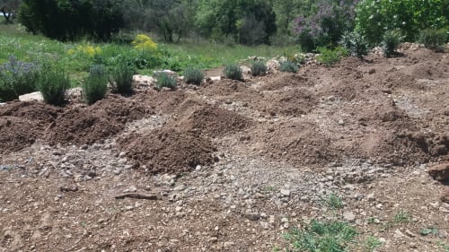 Travaux jardin Les Muriers d'engaspaty