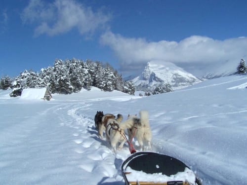 location la Joue du loup, Oreeduloup, Studio Ptilou B36 2/4pers., vue montagne, ski, chalet grand loup mélèzes des chaumates,