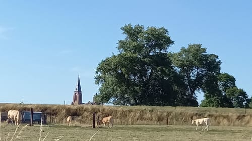 Gîte Le Patio de Mimi - proche Marquion  - Location de vacances avec patio,  Gîte avec cuisine équipée et 2 toilettes plain-pied, maison de vacances avec terrasse,  Maison de vacances plain-pied et parking privé gratuit, Location saisonnière familiale, Gîte tout confort avec terrasse, Hébergement de charme avec extérieur, Hébergement romantique, spacieux, vacances reposantes en 59/62 Nord pas de Calais, 2 toilettes, télévision chaque chambre, connexion wifi gratuite