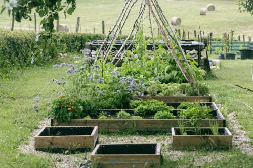 Vegetable garden at La Guirtelle B&B in Lainsecq with raised beds, climbing plants on trellis, and purple flowers